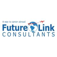 Future Link Consultants image 1